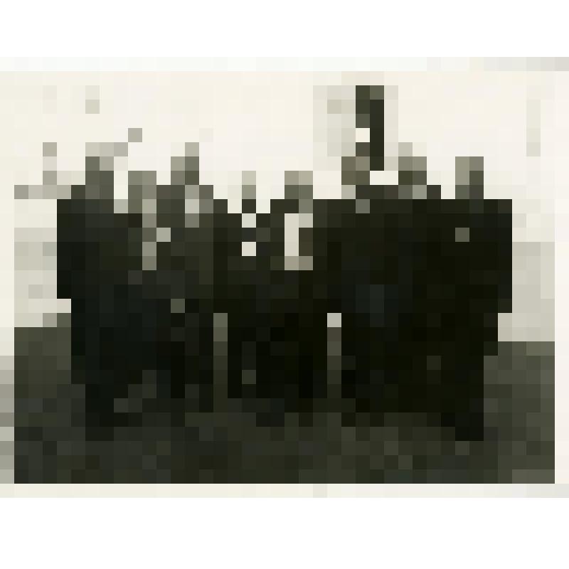 Фотография. Ветераны комсомола возле Художественной галереи