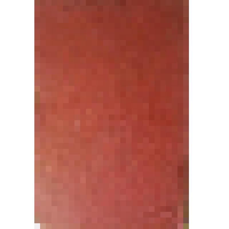 Книга хроника. Стенографический отчет III.  XXII съезд КПСС