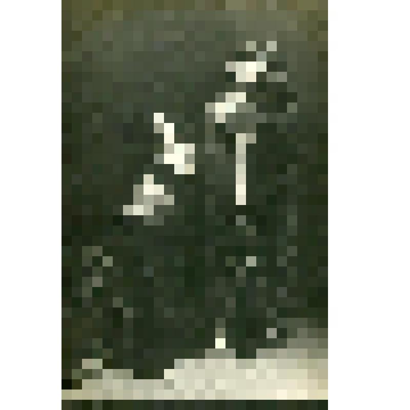 Фотография. Е. Гельцер и Жуков в ролях. Жуков снят в профиль, стоит на коленях перед Гельцер, она в рост, правая рука закинута за голову. "Корсар"