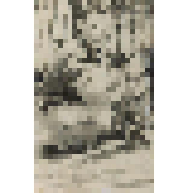 Фотография. Хозяин и собака Дозорик,  1965Г