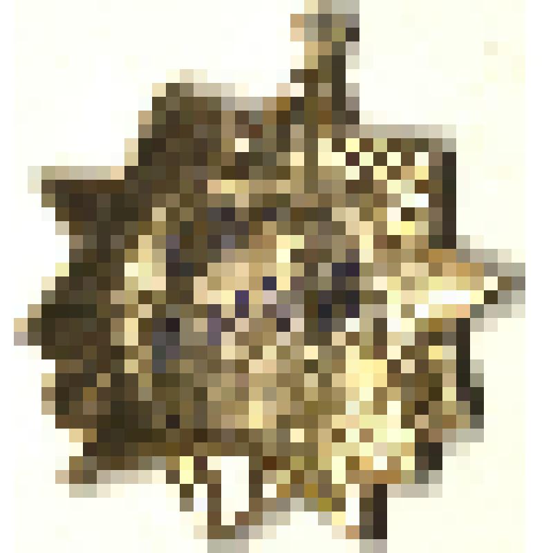 Нагрудной знак  в виде ордена Отечественной войны  Наурбиева Салмана Хамзатовича