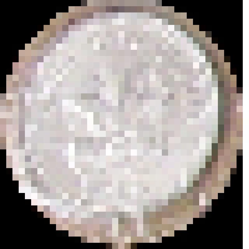 Монета иностранного государства. Папуа Новая Гвинея. Номинал 10 тон