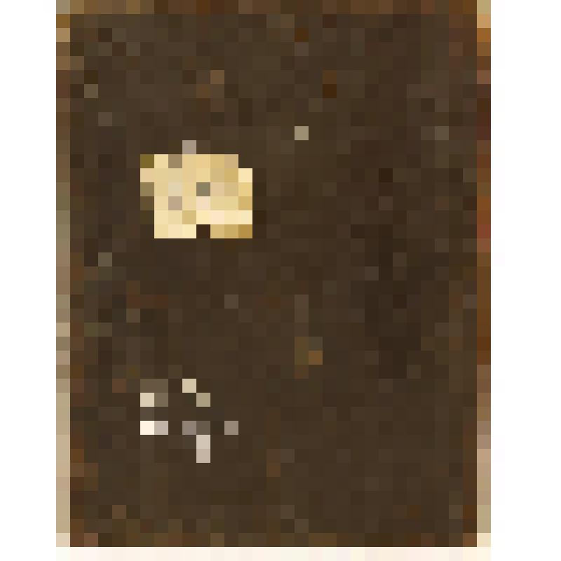 Свмч. Иоанн - воин. Икона