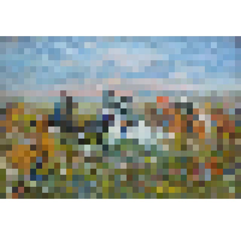 Картина "Стычка"