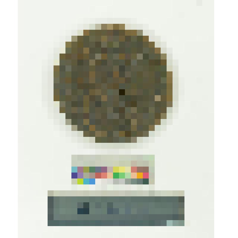 Монета. Екатерина II. 10 копеек. 1796 г