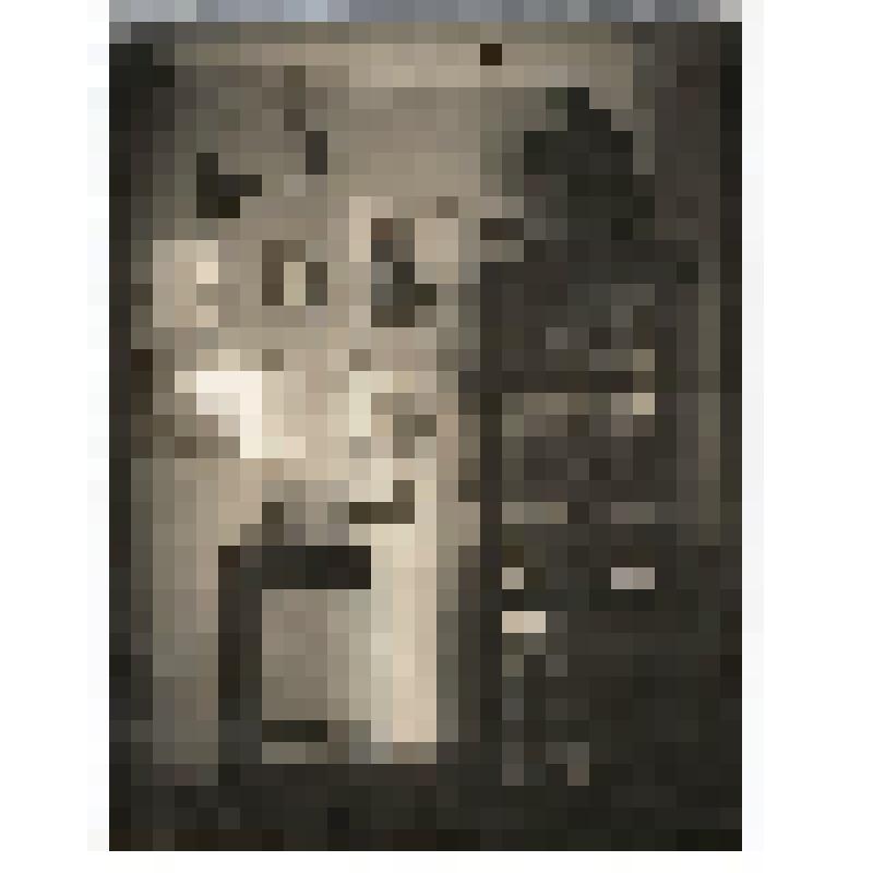 Ф/чб. Экспозиция Центрального музея АССР НП: отдел природы (витрина с чучелами животных и птиц, витрина с 2 крупными яйцами птицы, на стене: карты, иллюстрации). Энгельс. 1941