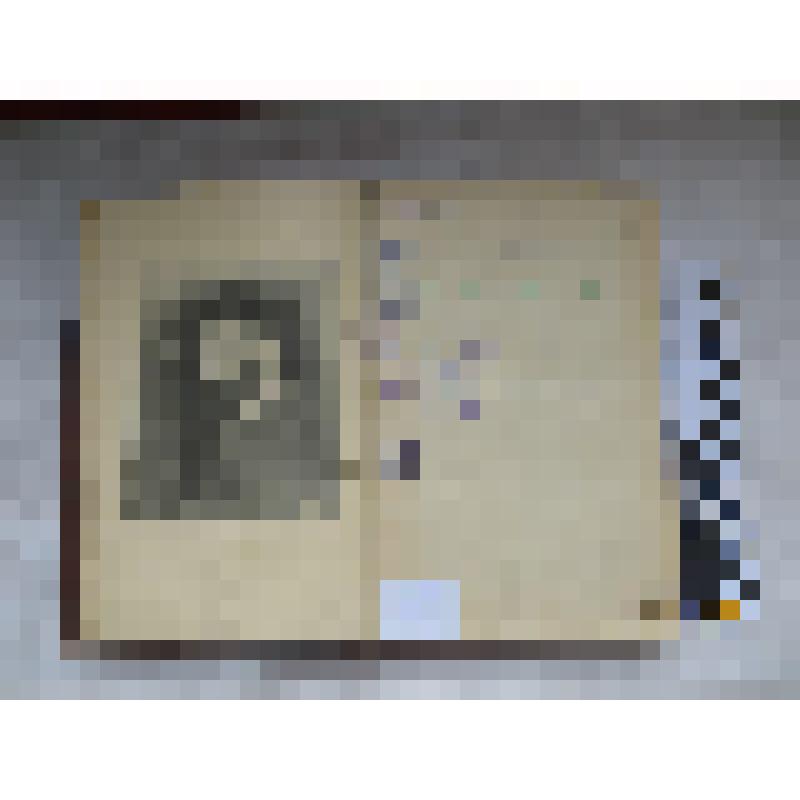 Книга. В.М. Гаршин. Письма