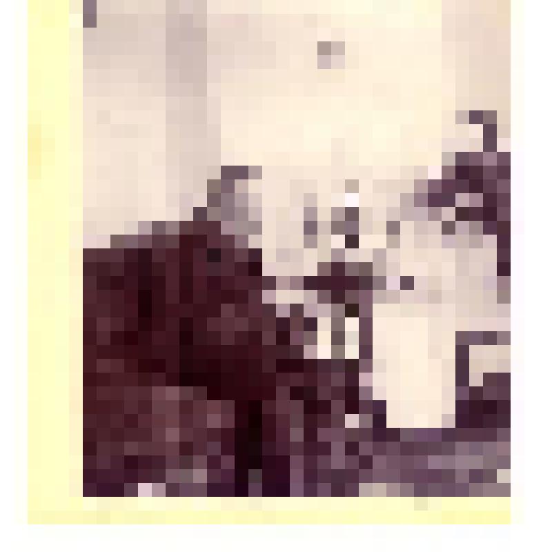 Фотография. Стеженский Евгений Антонович