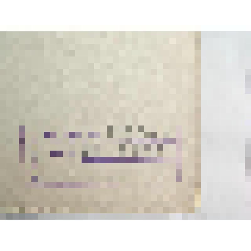 Плакат. Растения кайнозойской эры. Из альбома наглядных пособий "Развитие жизни на Земле"