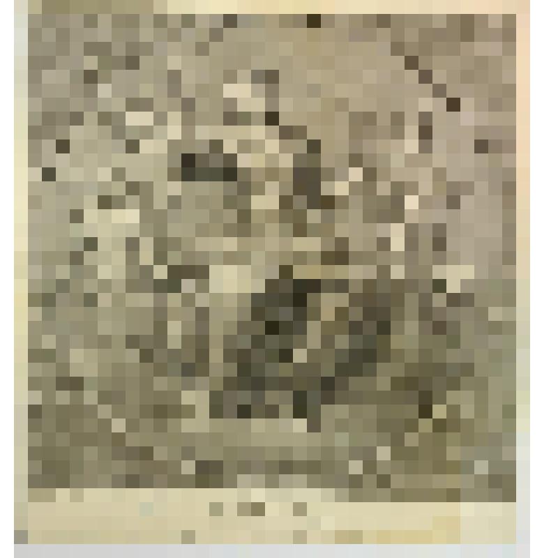 Аллегория Правосудия (по рисунку Бернардино Нокки с живописи Рафаэля Санти)