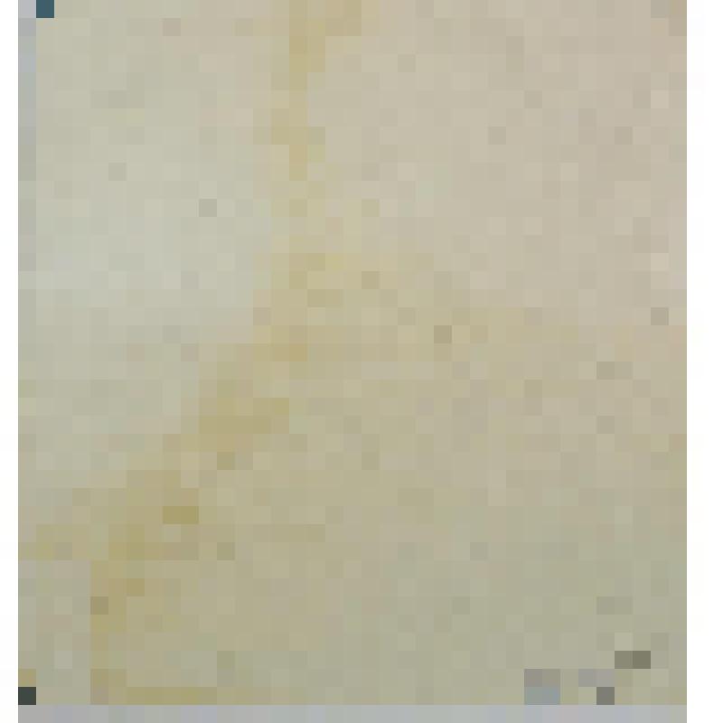 Аллегория Правосудия (по рисунку Бернардино Нокки с живописи Рафаэля Санти)