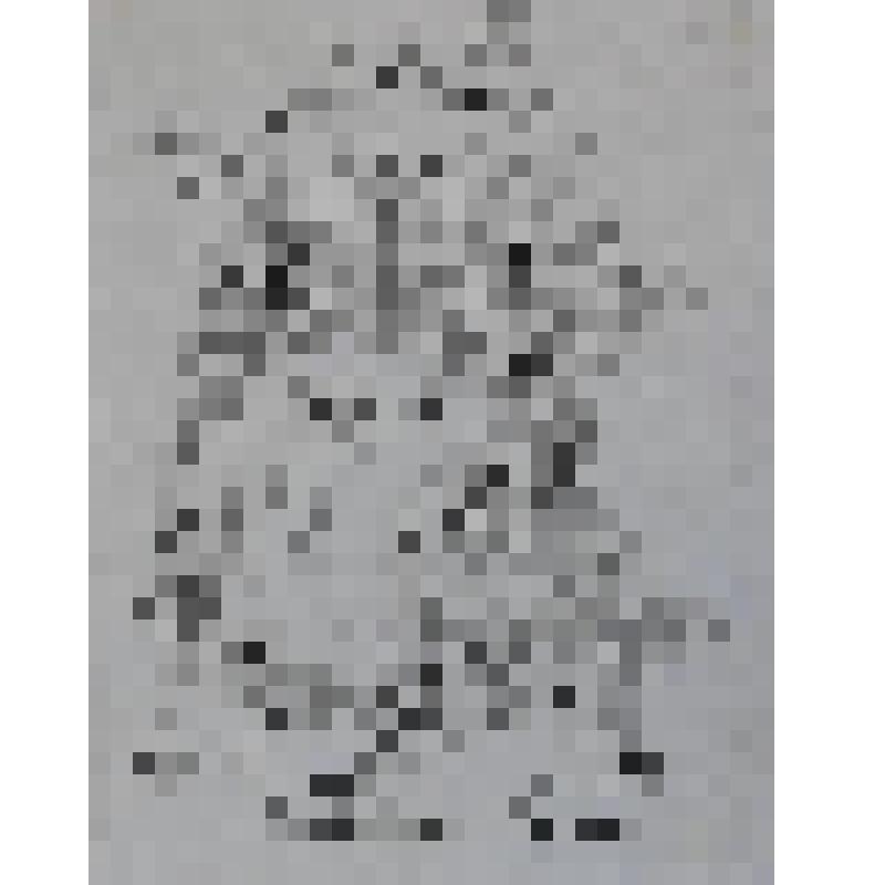 Император Максимилиан