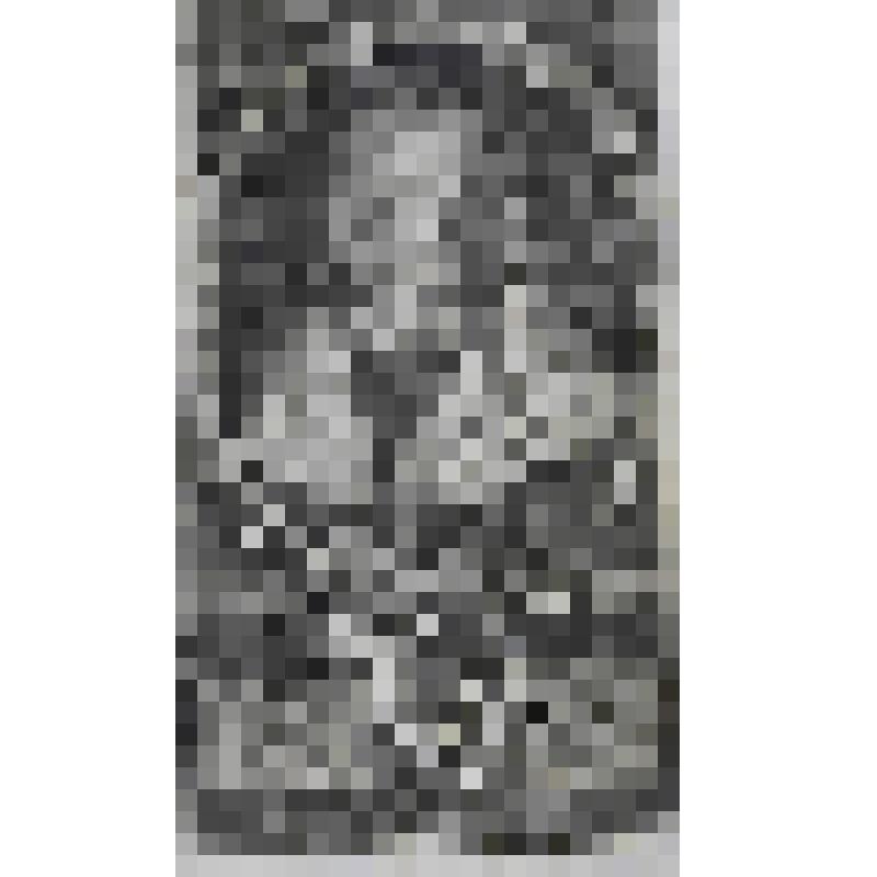 Портрет Френсиса Георгия, епископа Трирского