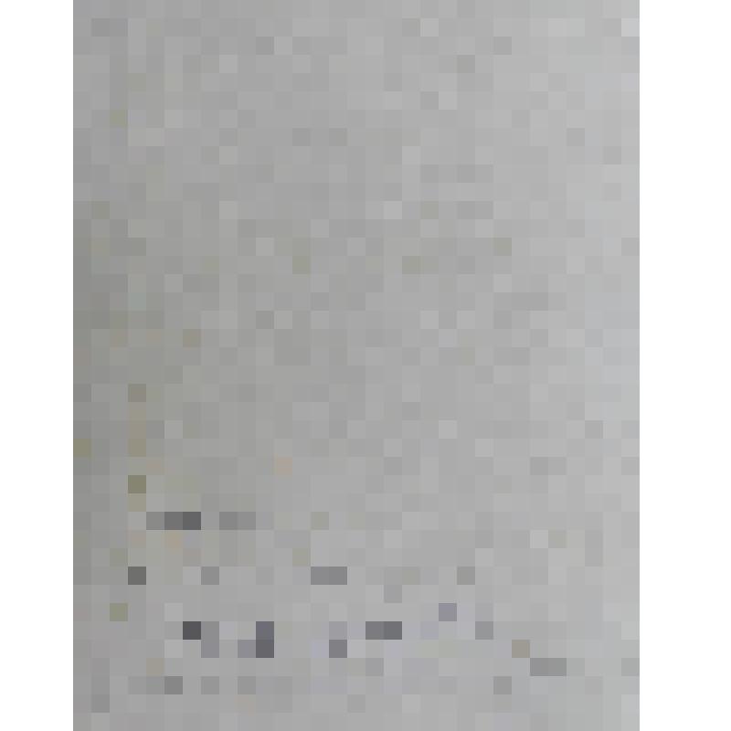 Портрет Френсиса Георгия, епископа Трирского