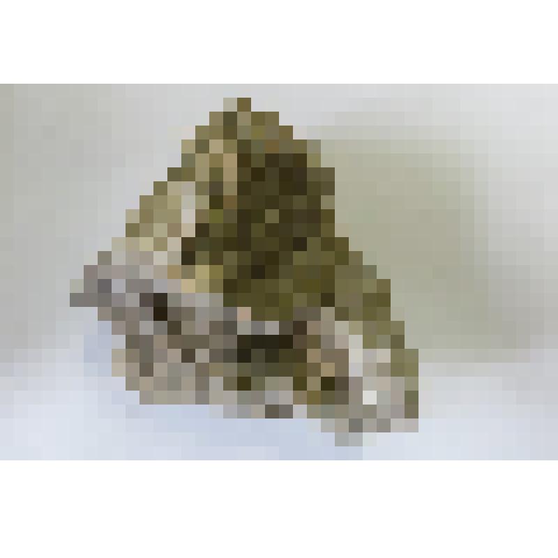 Минерал. Друза кальцита