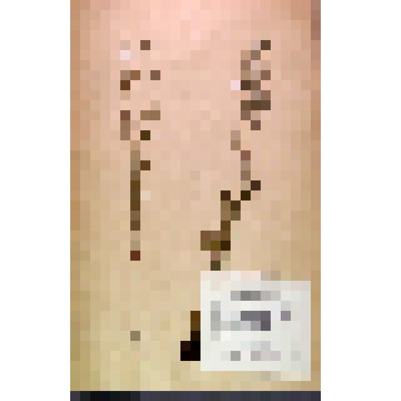 Лист гербарный. Липучка незабудковая (Lappula myosotis)