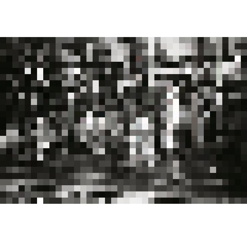 М.П.Колесников. "Пуск 2-й очереди Стеклотарного завода". г.Новоалександровск, 17.10.2000 г. Фотопленка: 12 фрагментов, 48 негативов в конверте