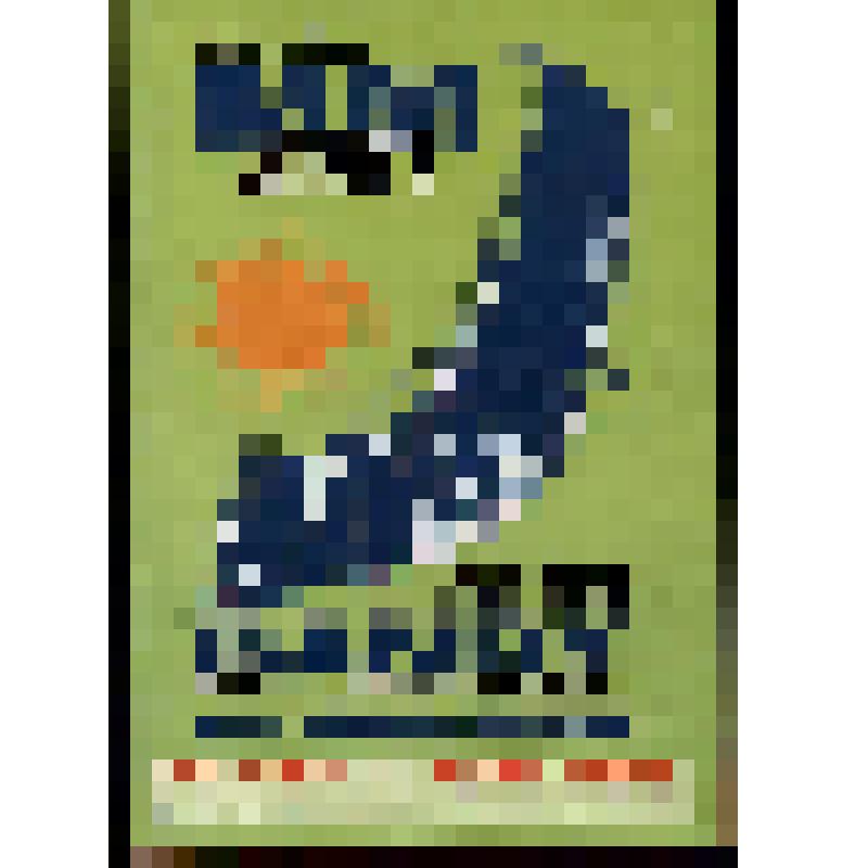 Справочник. "Чемпионат мира в Оулу"