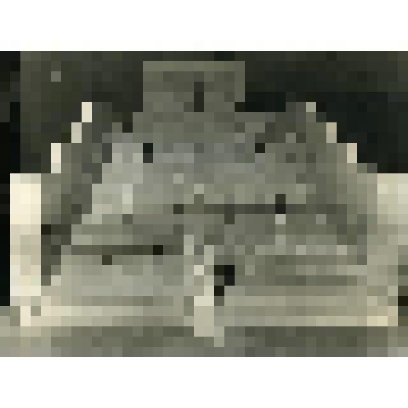 Фотография. Проект главной лестницы Дворца Советов на выставке проектов