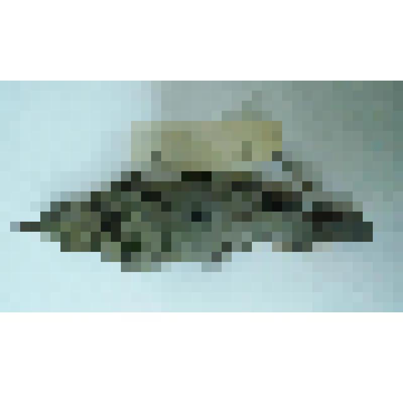 Тушка. Горный конек