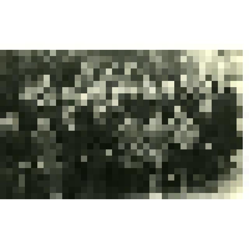 Фотография. Участники встречи учителей с удмуртскими писателями