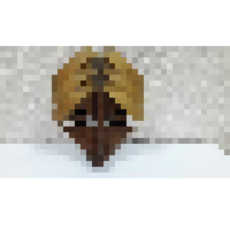 Маска настенная декоративная "Индус"