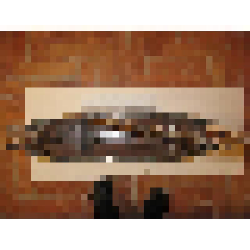 Модель. Галиот "Нептун"