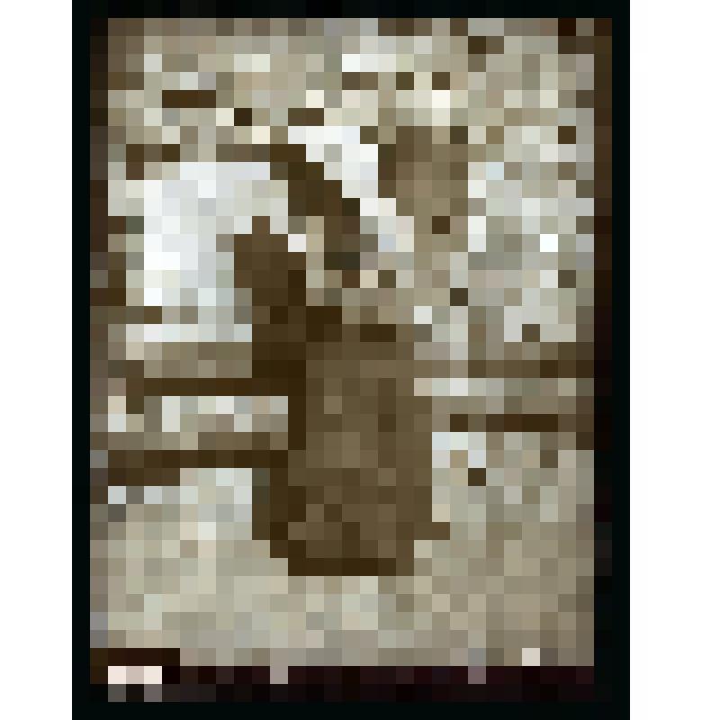 Негатив на стеклянном носителе. Осетинка Бизаева [Базаева?], несущая на спине воду. Осетины