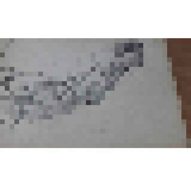 Рисунок Никонова Н.М