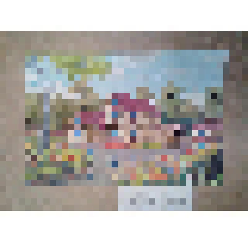 Акварель. Усадебный дом М.Я.Капустина в местечке Бабайки