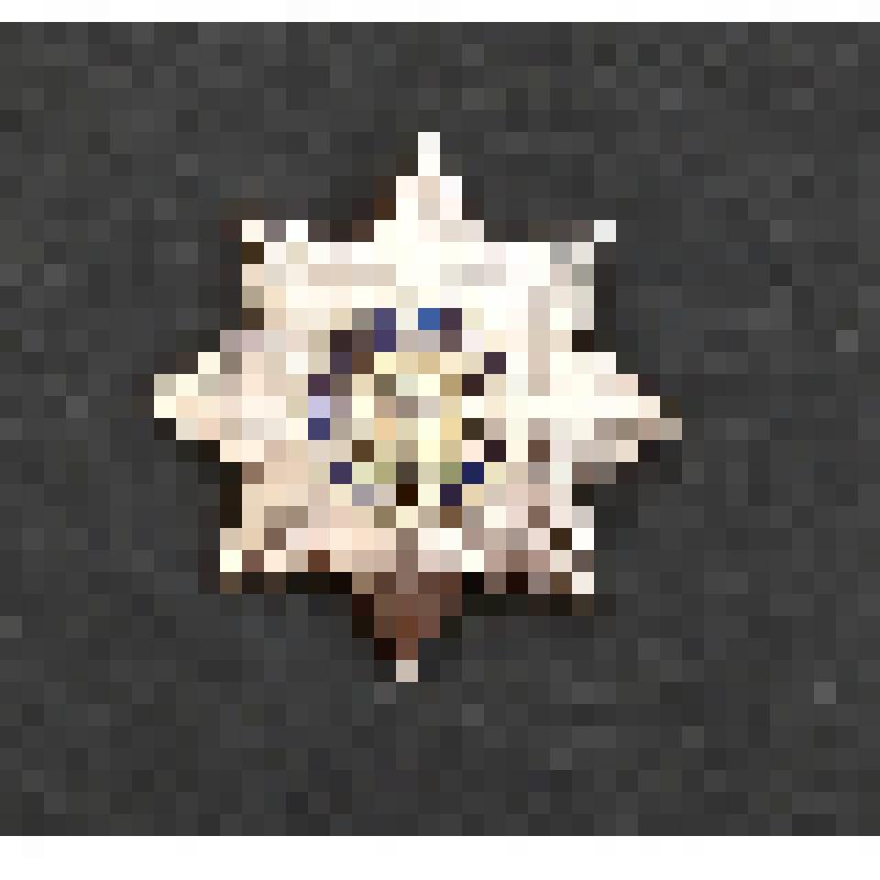 Муляж "Звезда ордена Святого апостола Андрея Пер-возванного"