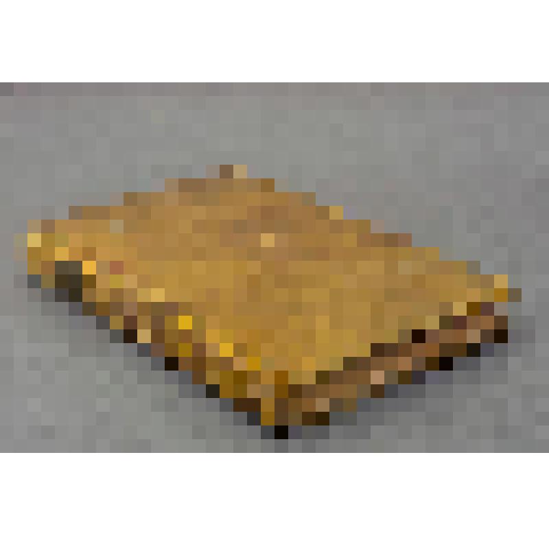 Histoire ou anecdotes sur la revolution de Russie, en l'année 1762. Книга