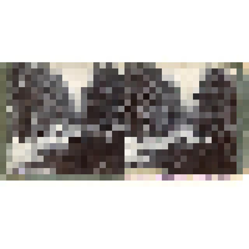 Карточка для стереоскопа «В верховьях реки Баксан Терской области». Из коллекции «Кавказ» с видами природы Западного Кавказа. Автор фото Н.Л. Минервин