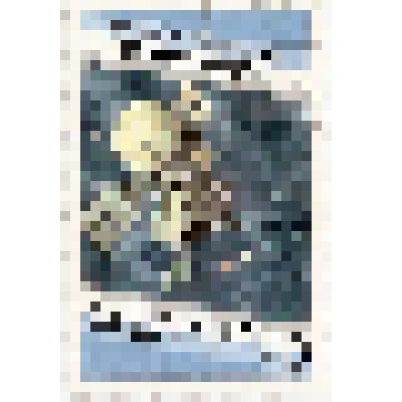 Марка № 92 "20 лет программы ИНТЕРКОСМОС". Почтовые марки Кубы. Из комплекта: Коллекция марок "125 лет почтовой марке"