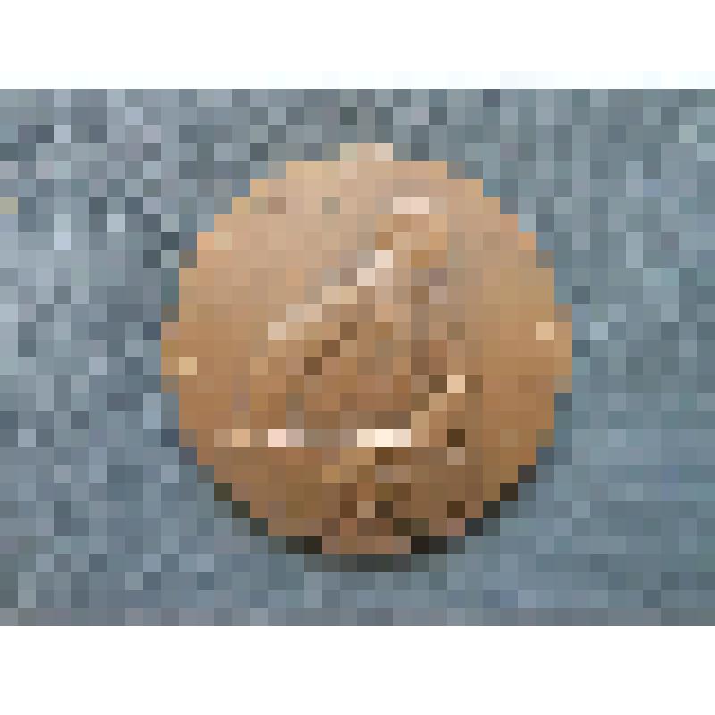 Медаль. План ГОЭЛРО