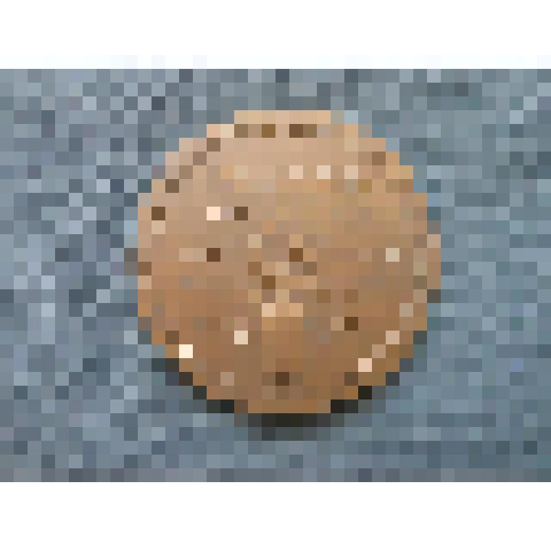 Медаль. План ГОЭЛРО