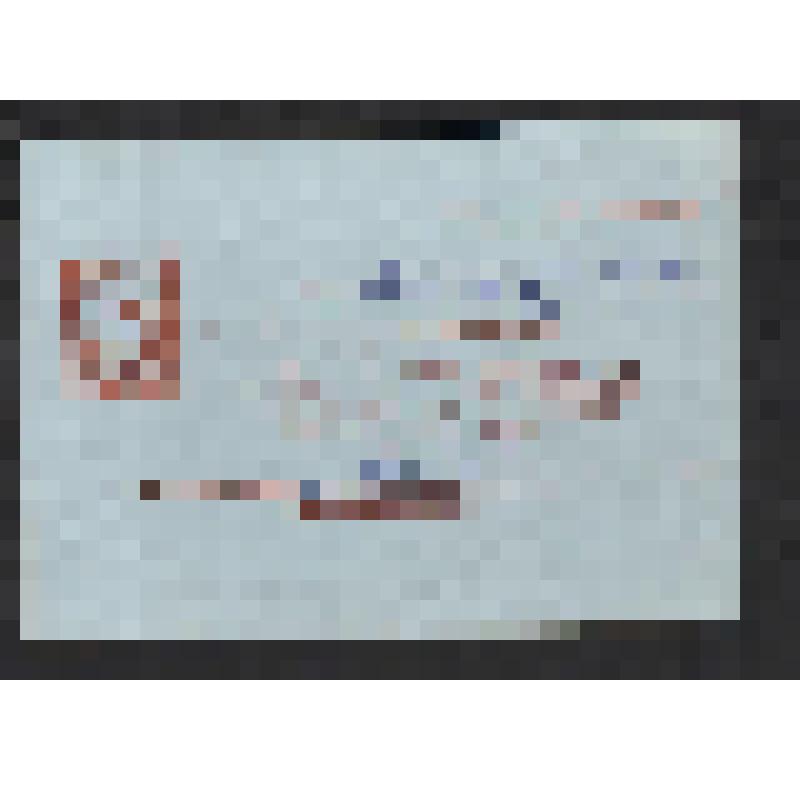 Гостевой билет Мильруд В.А.  на  XV конференцию ЦДРИ СССР