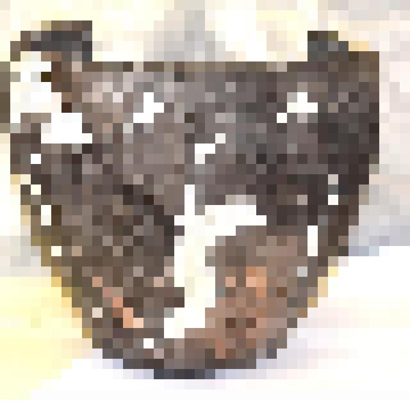 Горшок