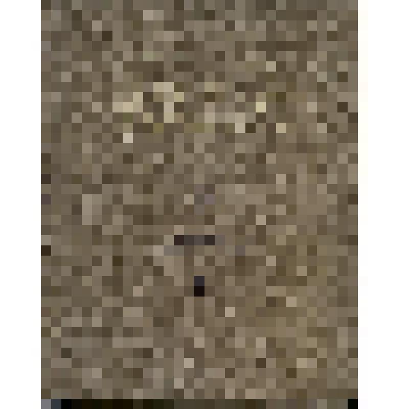 Книга. Избранное. - Новосибирск: Западно-Сибирское книжное изд-во, 1970