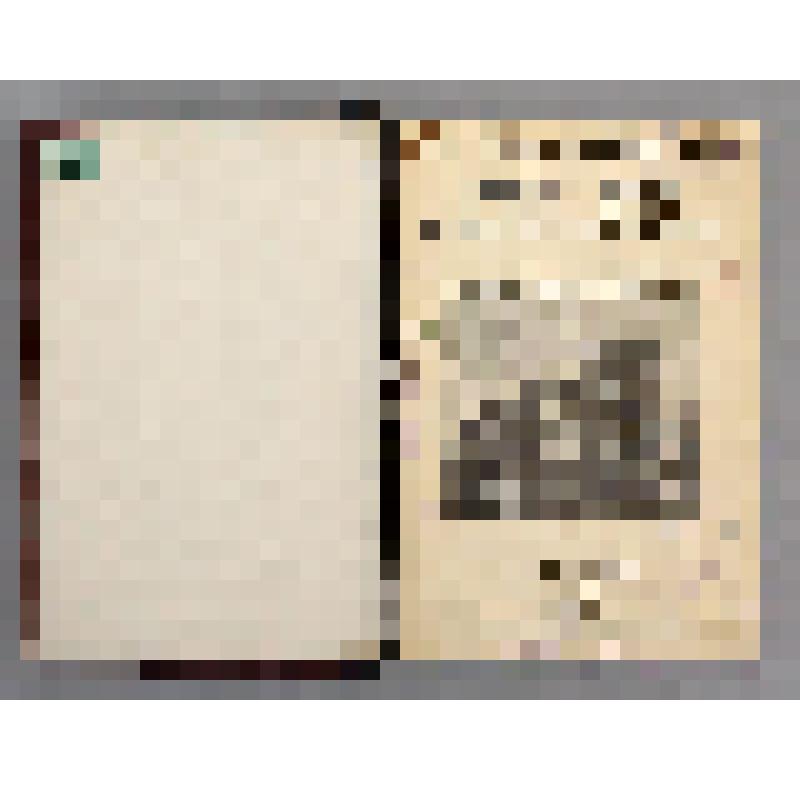 Книга. Земля и люди. Всеобщая география / Э. Реклю; пер. под ред. С.П. Зыкова. - СПб.: Тип. Т-ва «Общественная Польза», 1898. - Кн. 2.
Т. III. Германия и Швейцария. - [8] с.; 556 стлб.: ил.
Т. IV. Австро-Венгрия и Великобритания. - [2] с.; 948, 12, 20 стл