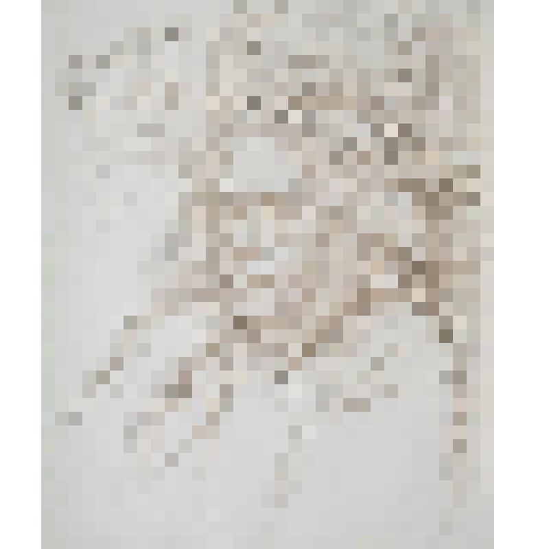 Портрет Л.И. Давыдычева. Рисунок