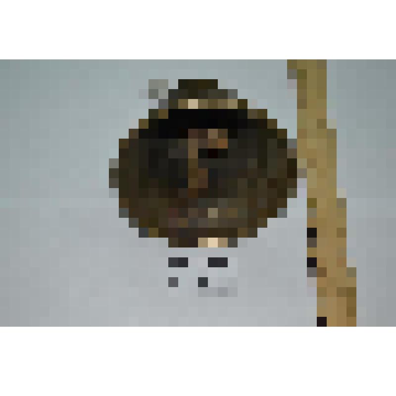 Колокольчик