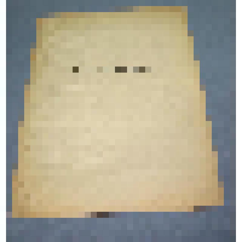 Ботаническая коллекция. Тимьян ползучий (богородская трава), на гербарном листе, ст.Сон, северо-западный склон  горы. Labiatae Thymus Serpullum Z