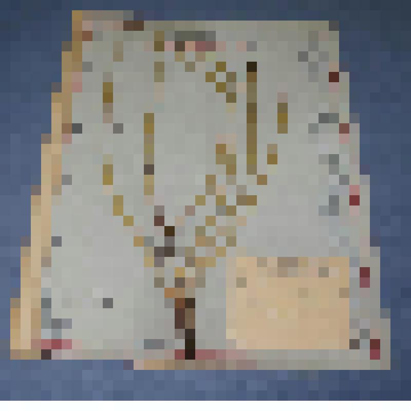 Ботаническая коллекция. Хвощ зимующий, семейство хвощовые, на гербарном листе, Красноярский край, Ермаковский район. Cем.  Eguisetaceae  P. Eguisetum  B. Hiemale Z