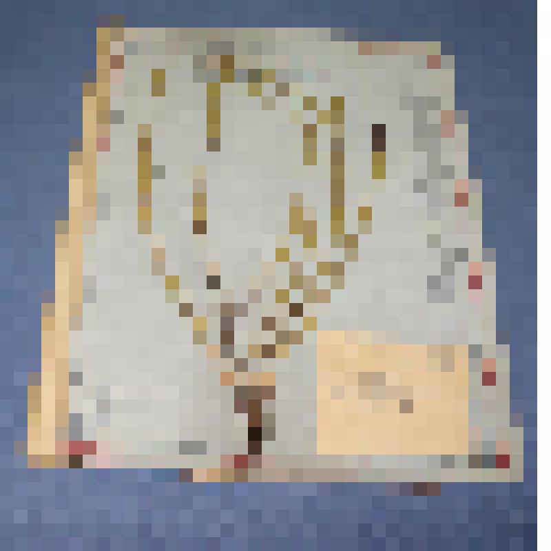 Ботаническая коллекция. Хвощ зимующий, семейство хвощовые, на гербарном листе, Красноярский край, Ермаковский район. Cем.  Eguisetaceae  P. Eguisetum  B. Hiemale Z