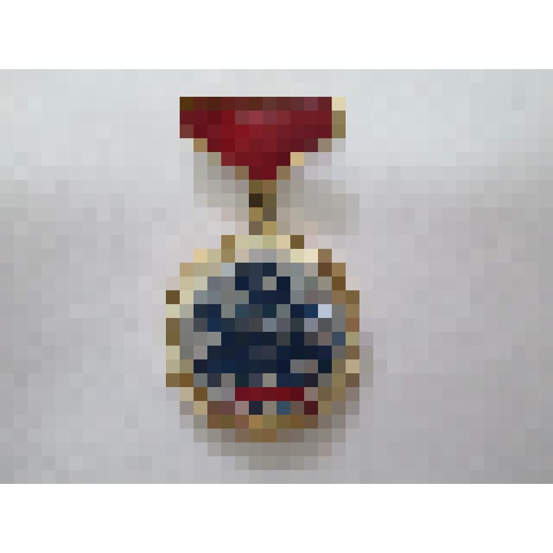 Памятный значок "Всесоюзная спартакиада ЮД II 1983"