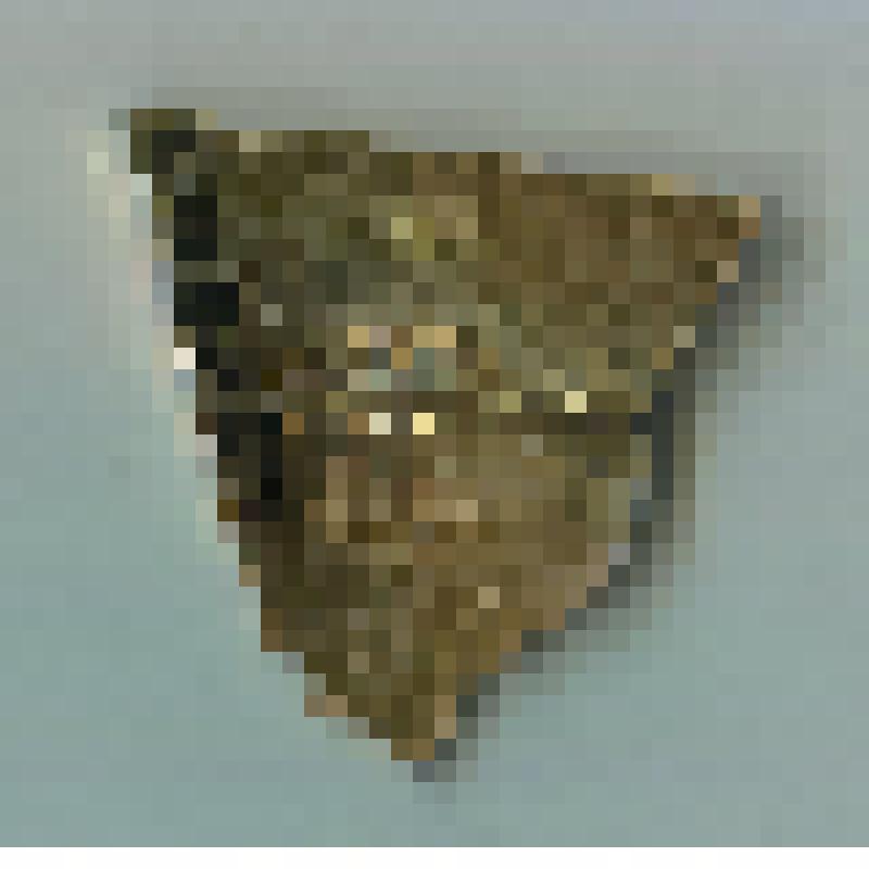 Знак нагрудный. Киев. СССР, 1965 г