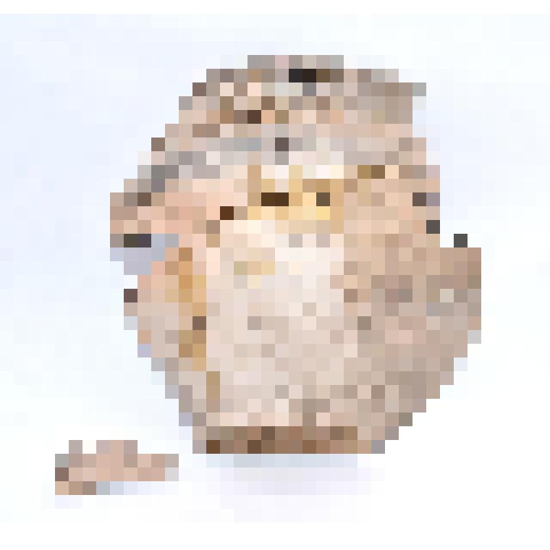 Сосуд (фрагмент)