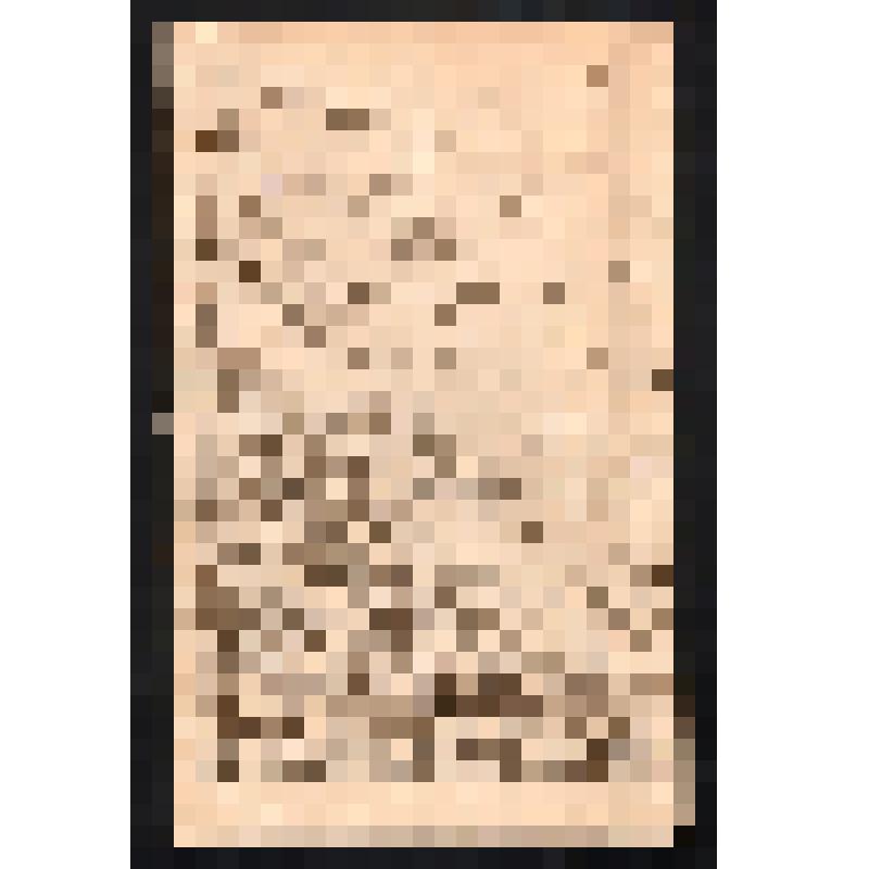 Автобиография Пирухалайшвили Р.С., служившего в Ахульчинском батальоне в 1905 г., г.Пятигорск, 1929 г