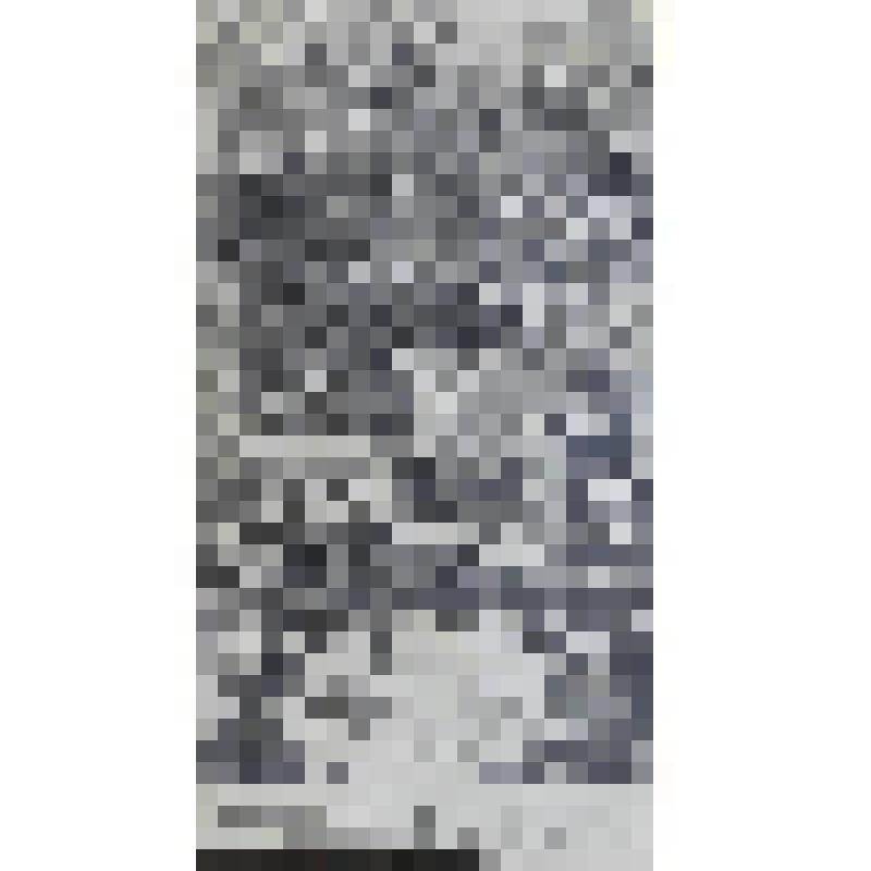 Иллюстрация к"Симплициссимусу"